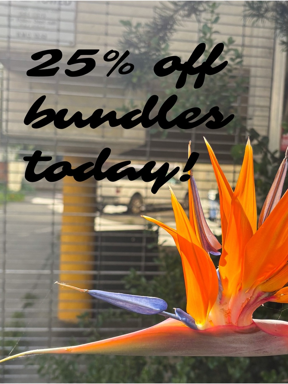 25% off your bundle today!